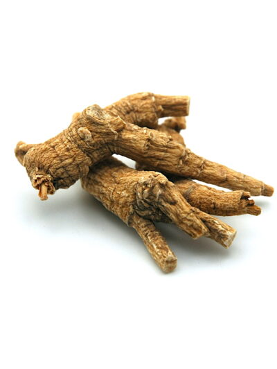 Ginseng Root Powder