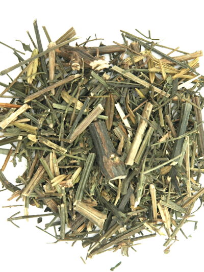 Andrographis paniculata Single Herb