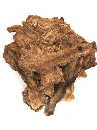 Angelica sinensis Single Herb