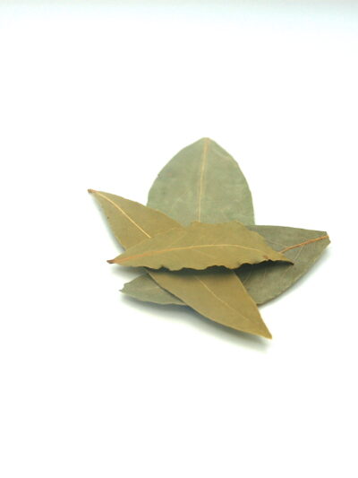 Bay leaf (M)