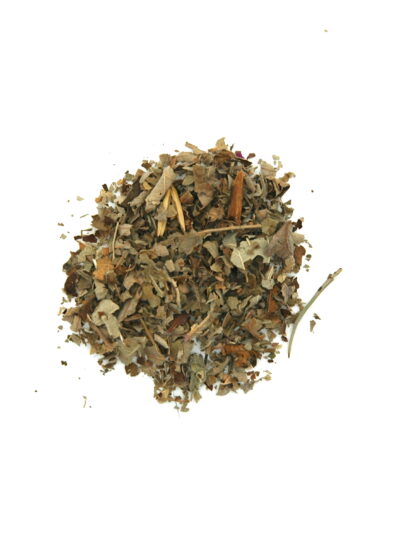 Blackberry leaves (LM)