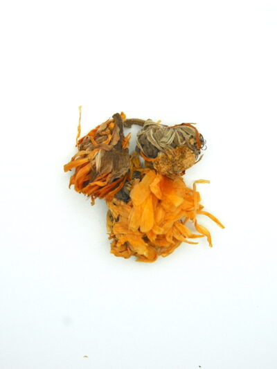 Calendula (orange)