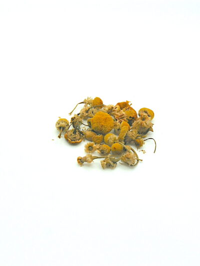 Chamomile German (L)
