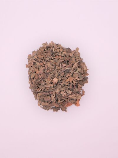 Plantain (major) Leaves  (LM)